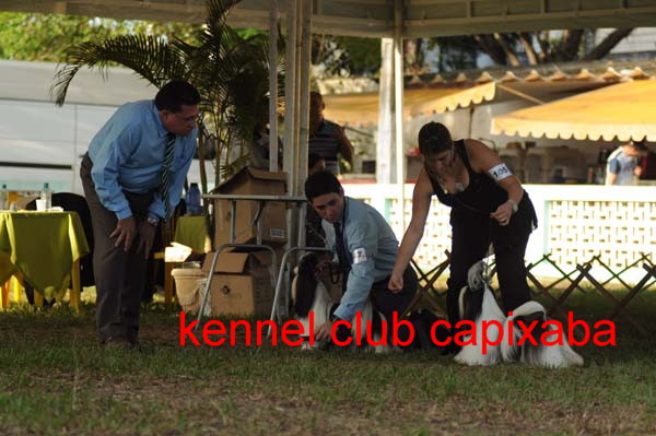 Clique sobre a foto para fechar